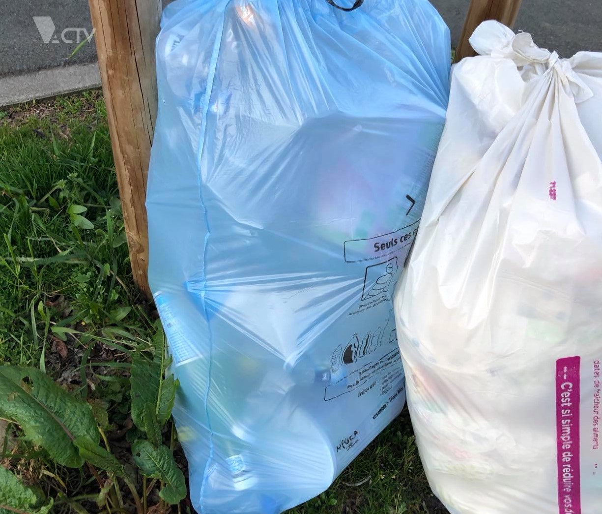 Hygea : bilan du nouveau système de collecte