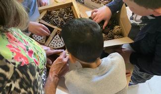 Manage : fabrication d'hôtels à insectes 