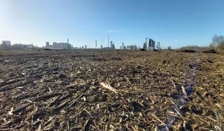 Ecaussinnes : 7 hectares déboisés par TotalEnergies 