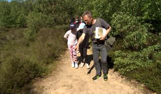 Hennuyères : balade nature sur les traces des abeilles