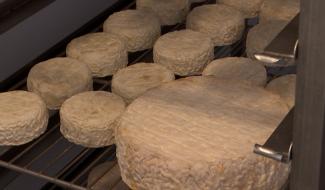 Manage : des fromages de Bellecourt