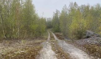 Soignies : bientôt un nouveau poumon vert