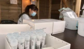 Coronavirus : les chiffres sont à la hausse dans le pays