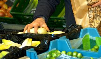 Froid : on s'adapte sur les marchés 