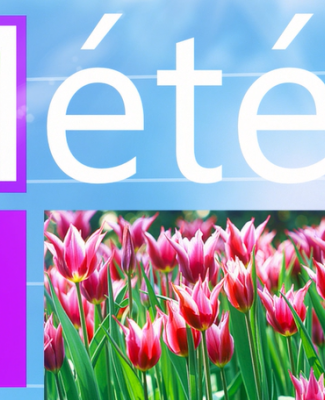 La météo du 23 janvier 2024